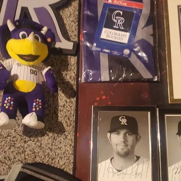 COLORADO ROCKIES LOT - Picture 7 of 11